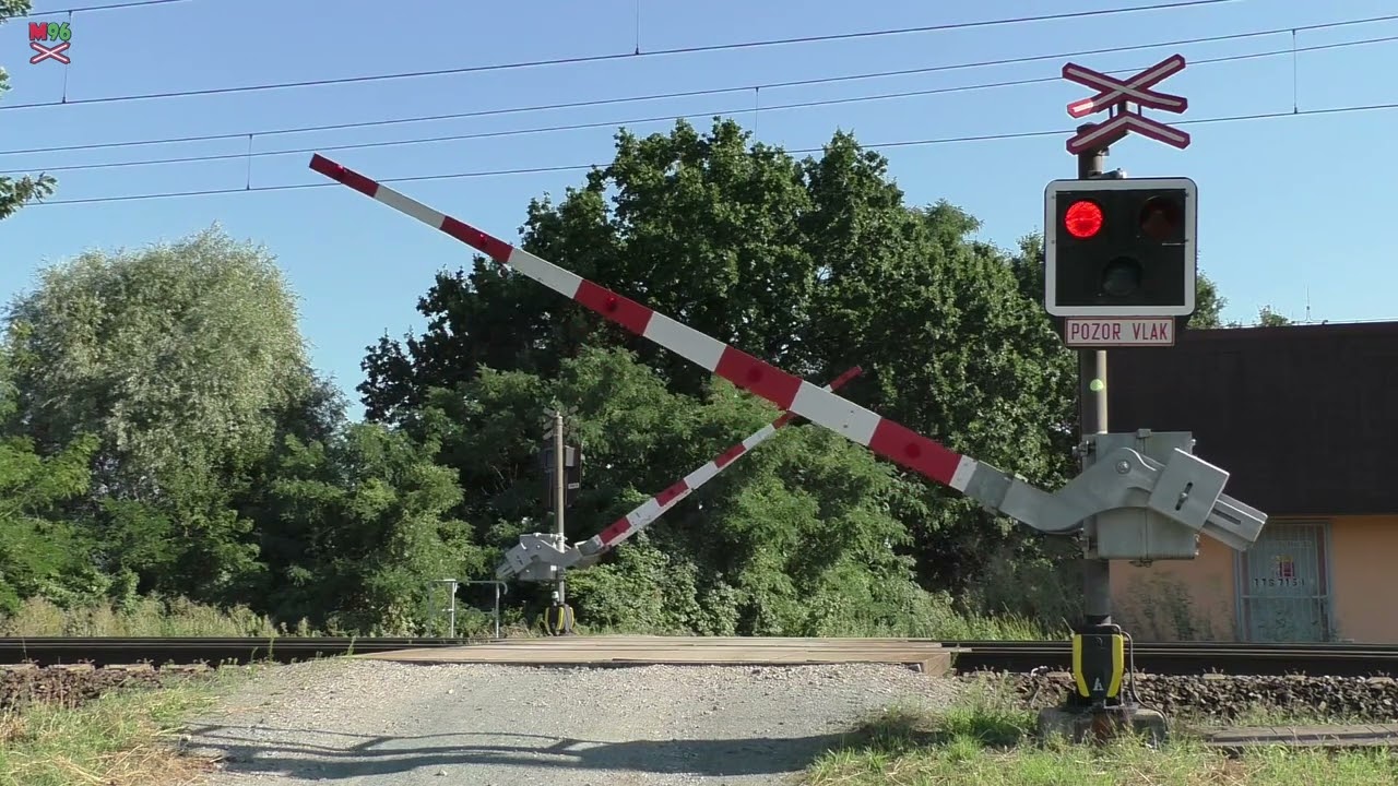 Železniční přejezd Starý Kolín #2 [P4919] - 11.8.2023 / Czech railroad crossing