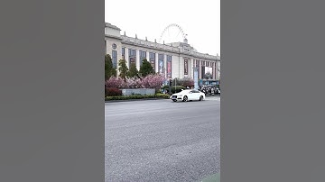 The moment I pressed the gas pedal. #audi #quattro #shortvideo #audia7 #audirs7 #audis7 #rs7 #shorts