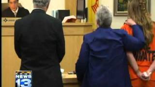 Celebrity Ellen Snyder makes guilty plea deal Net Worth