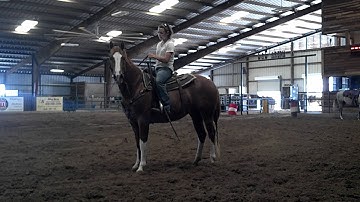 Docs Glowing Badger can still spin around!  ***For up-to-date info, price, etc., go to our site***