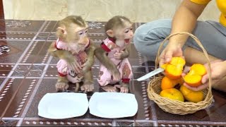 OMG!! Sister Kobie Feel Very Excited While Mom Slicing Fruity Dessert For Them To Eat Very Delicious