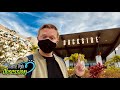 ALL NEW Dockside Inn & Suites at Universal’s Endless Summer Resort | Room Tour & More!