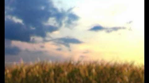 Grass Animation Tech demo