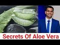 Aloe Vera Juice - Benefits, How Use, Secrets Of Its Function