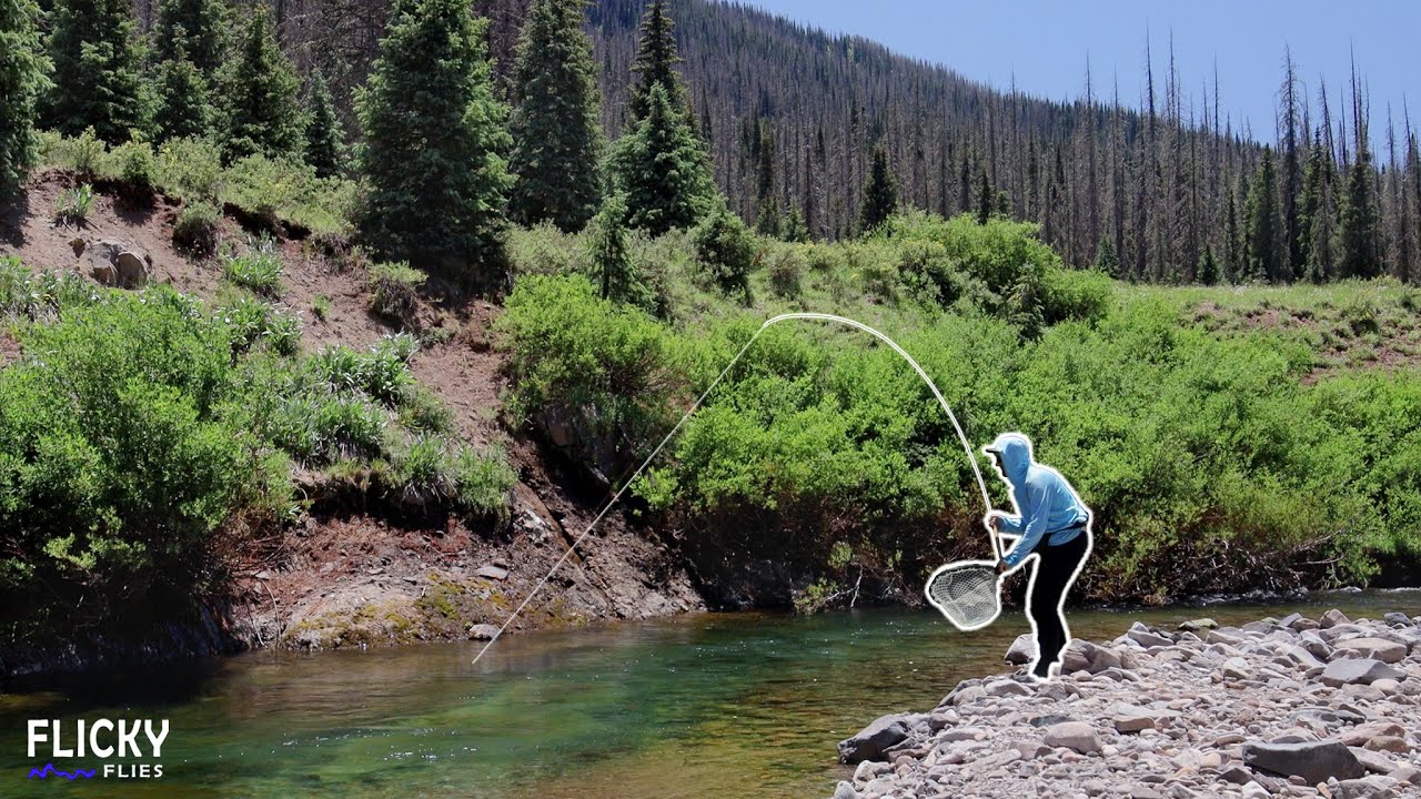 4 Absolutely EPIC Days Fishing WILD Colorado Waters (Trophy Trout)