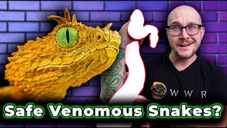 Top 5 SAFEST Venomous Snakes As Pets!