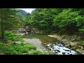 奇岩に巨岩に大蛇伝説が伝わる差切峡 4K 奇岩に巨岩に大蛇伝説が伝わる差切峡 4K