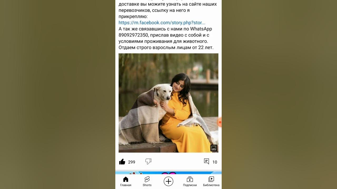 Откуда у гаяны столько денек из канала четвероногие друзья. Четвероногие друзья гаяна дзен канал. Картинки на рабочий стол с канала четвероногие друзья. Гаяна говадинян четвероногие друзья. Сколько зарабатывает гаяна гевондян с канала четвероногие друзья.
