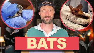 I Went to a House FILLED with Bats