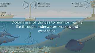 Innovative Environmental Solutions In Action