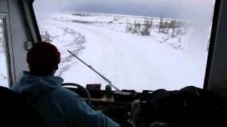 Buggies Into Churchill