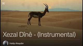 Xezal Dînê - (Emotional Instrumental Music)