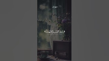 هو الله الذي لا إله إلا هو - سورة الحشر - المنشاوي رحمه الله