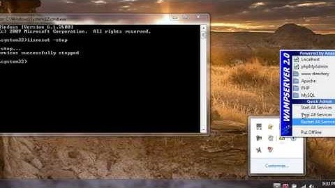 How to Have Both IIS7 and WAMP on the SAME PC!!