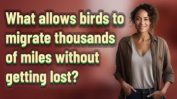 What allows birds to migrate thousands of miles without getting lost?