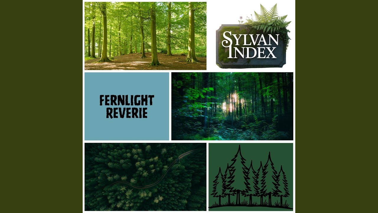 Fernlight Reverie (Forest Healing Therapy)