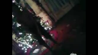 Krusty Krab - Acedream A Dimp-Dimp