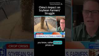 How Trump’s Trade War Crushed This Soybean Farmer’s Livelihood