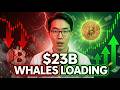 EMERGENCY: BITCOIN $73K Whales Stack $23B as Retail PANIC!