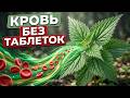 Почему врачи не знают про крапиву при анемии?