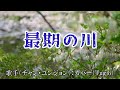 【カラオケ】最期の川/チャン・ユンジョン(カバー by Rumiko Kuwabara)