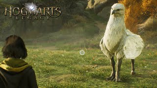 Hogwarts Legacy | The High Keep Quest (Unlocking Mount) | Griffin Mount Reward ***Spoilers***