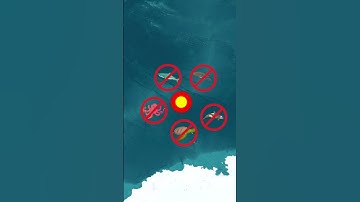 The Loneliest Place on Earth #geography #pointnemo #shorts #shortvideo