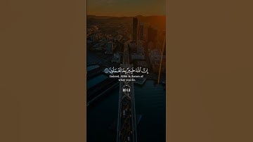 تلاوة طيبة بصوت القارئ يسلم بن وبر الحضرمي