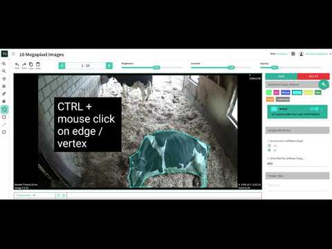 TrainingData.io: Edit a Polygon