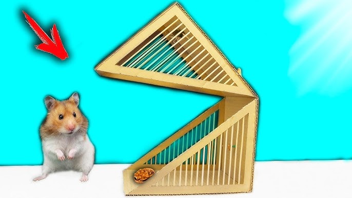 Cómo hacer una trampa para ratones que no provoca daños en el