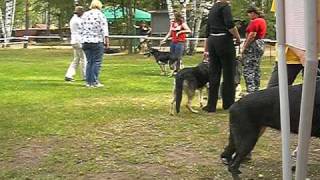 CIMG1328.AVI