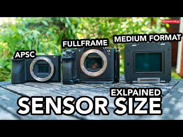 compileren Bek Handelsmerk Camera Sensor Sizes Explained: What You Need to Know
