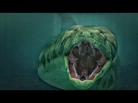 Видео: Титанбоа: Тази змия тежала тон и може да атакува слонове - Алтернативен изглед
