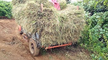 Xe công nông vô lăng cầu đẩy lên dốc cực khỏe