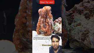 Mark of Love #lovestory #animals #wildliferescue #cute #pets #love #funny #octopus #oceanlife