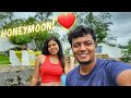    a surprise trip with wife honeymoon