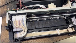 Epson L120 L121 L3110 L3210 Wild Print Head