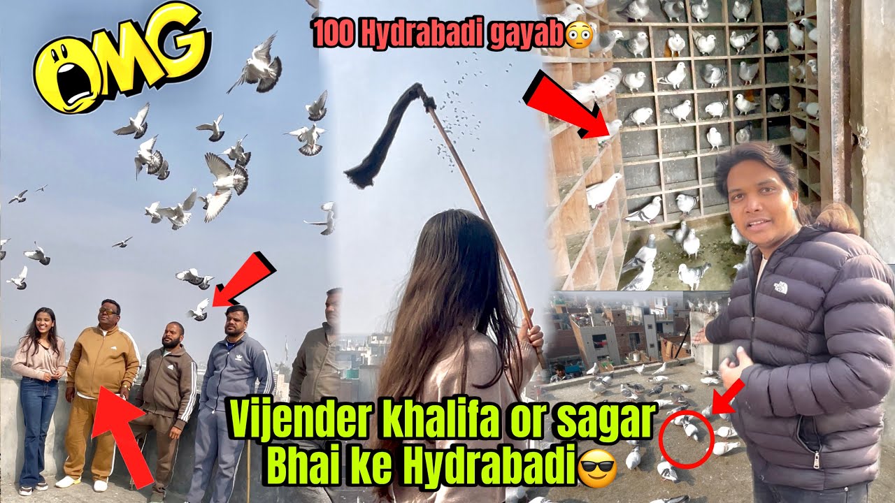 Vijender khalifa or sagar Bhai ke kabuter gayab😳😎❤️ 100 Hydrabadi ka shok🫶🏻🕊️ 