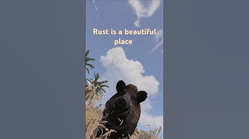 Running to Outpost | Rust funny moments