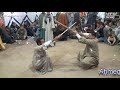 زمان يا فن واحلى تحطيب من افراح المحامده القبليه بسوهاج