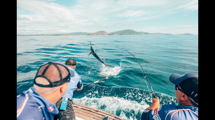 Marlin fishing Port Stephens aboard Black Watch 30