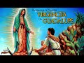 Homenaje A La Virgencita De Guadalupe - Más de 2 Horas De Musica Cristiana!