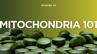 Mitochondria 101: How Superoxide Dismutase (SOD) Revives Your Body’s Powerhouse!
