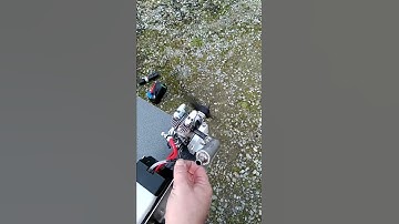 Saito 62 Four Stroke