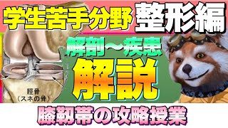 【整形】膝の靭帯と損傷は整形３点問題で出やすいからポイントをおさえよう【看護士国家試験】【PT・OT国家試験】