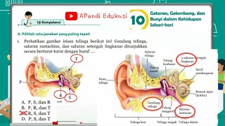 Assalamu'alaykum... hai sobat edukasi di video ini kaka bakalan
ngebahas jawaban pilihan ganda uji kompetensi bab 10 ipa kelas 8 cek
pembahasan soal isian ba...