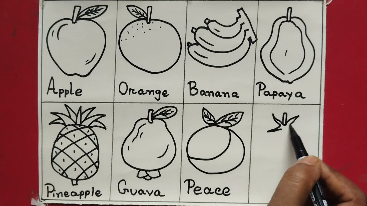 Different types of Fruits drawing easy| How to draw 10 different fruits drawing| Pencil drawing/