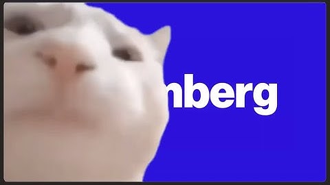 Cat Vibing to Bloomberg stock filler (1 hour loop)