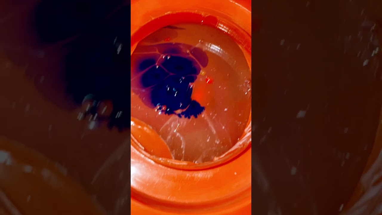 Morning Glory Color Mixing Paint ASMR 