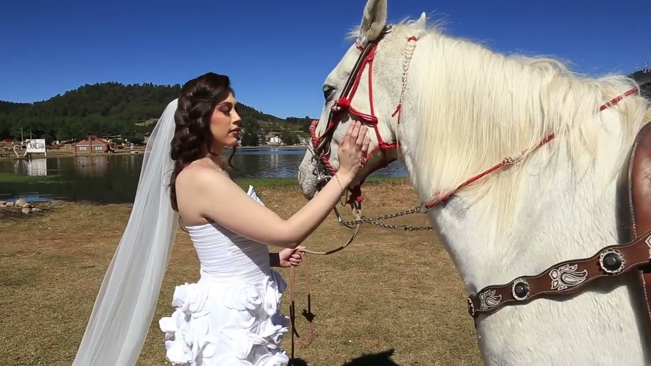 🎥 FASHION FILM – ARY (Licenciatura D.M. ISMODA 2024)